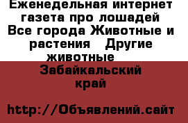 Еженедельная интернет - газета про лошадей - Все города Животные и растения » Другие животные   . Забайкальский край